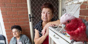Honey Kemaneci (right) and sister Shelley Ahmet,with galah Freddy,had no idea their home would flood on October 14.