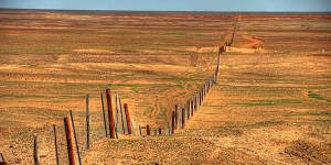 The dog fence near Coober Pedy.