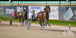 Eureka favourite Leap To Fame wins the NSW Derby at Menangle earlier this year.