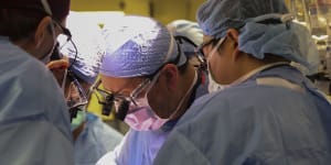 Surgeons transplant gene-edited pig kidney into living human for first time