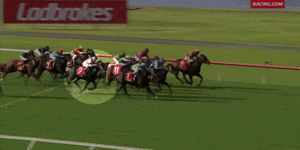 Watch:The unremarkable Sandown race that was referred to betting investigators