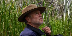 Professor Richard Kingsford has studied the Macquarie Marshes and led waterbird surveys across Australia for 37 years.