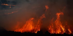 ‘Fires are coming back’:Authorities concerned Australia is set to burn this year