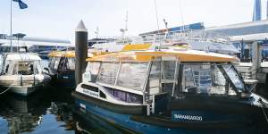 The NRMA ferries are currently docked near Sydney Aquarium and only used for special services after a trial in 2021.