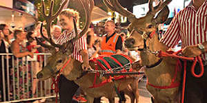 Brisbane Christmas parade:Kids still the hub of celebration