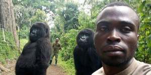 'They mimic everything we do':How a park ranger got two gorillas to pose for a selfie