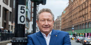 ‘Twiggy’ Forrest preaches his green energy dream at an AGM like no other