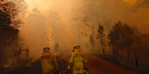 Firefighters north of Forster near the junction of the Pacific Highway on November 8.