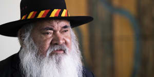 Senator Pat Dodson says the government will never be able to satisfy the critics of the Voice with more detail.