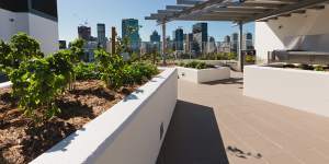 Amenities like this rooftop garden are a key feature of the Common Ground housing model. 