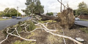 Farmer killed,hundreds of thousands still without power after wild storms