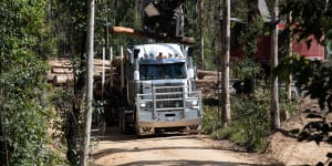 A logging truck is loaded up with timber in a region of the South Brooman State Forest.