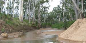 The Suttor River in central Queensland,from which Adani intends to pump water to feed its Carmichael coal mine. 