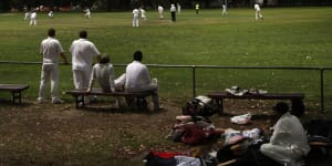 Cricket clubs are grappling with PlayHQ scoring system.