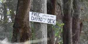 One of the ‘Free Darko’ signs around the Northern Beaches