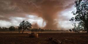 Violent storms lifted dust along their gust fronts and occasionally caused “gustnadoes” near Forbes in western New South Wales.