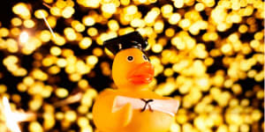 A picture of a rubber duck included in emeritus professor William Maley’s submission to the inquiry on university governance.