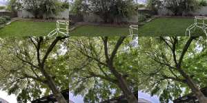 Some tree shots using the wide angle lenses. iPhone on left,Pixel centre,Galaxy right. Notice how much more natural the sky looks in the upper shot on iPhone,although it hasn't done quite as well in the lower image.