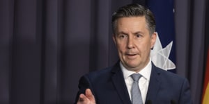 Health Minister Mark Butler says he has been appalled by the “disgusting” behaviour of some cosmetic surgeons and has put the regulation of the sector on the agenda of health ministers.