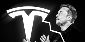 Tesla CEO Elon Musk has plenty of fans and detractors.