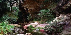 Australian wonder ... Carnarvon Gorge.