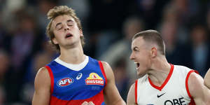 Controversial call sees Swans hang on for 14-point win over Bulldogs