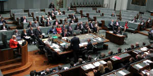 Labor benches after Brownyn Bishop removed 18 MPs during Question Time on Thursday.