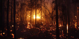 The Hillville fire on November 8.