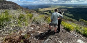 ‘More spectacular than the Daintree’:$56 million rainforest walking track for NSW