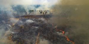 Large areas of the Amazon rainforest have burnt in recent years,often due to farming and land-clearing. Scientists fear too much fire in the “lungs of the planet” could trigger a tipping point of irreversible landscape change from jungle to savannah. 