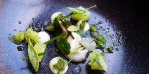 Oyster,cucumber and arrow grass from Michelin-starred Aniar.