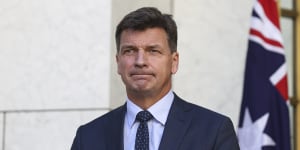 Energy Minister Angus Taylor says carbon offsets will be the key to the world meeting emissions reduction targets.