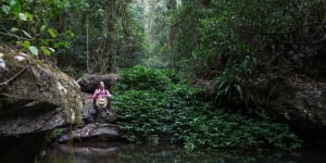 Queensland’s Scenic Rim is a stunning example of a wilderness backyard for city dwellers.