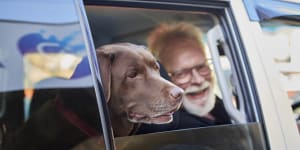 Perth entrepreneur takes on rideshare giants with Australia's first'Uber for pets'