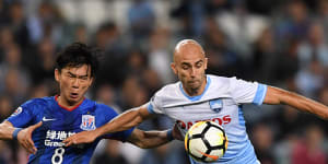 Sydney FC relief at Allianz pitch re-turf