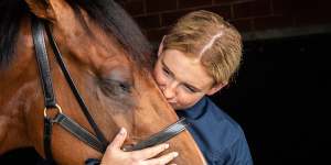 Mr Maestro with Aoife Brennan from the Andrew Forsman camp at the Flemington stables.