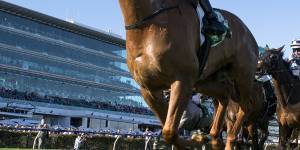 Caulfield Cup wasn’t the priority for Smokin’ Romans,but he kept winning