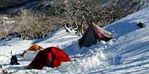 Back country survival ... tents pitched in the snow in Kosciuszko National Park. 