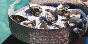 A tray of Coffin Bay oysters – hard to resist.