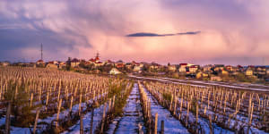 Moldova things to do:Europe's new fine wines come from an unexpected place