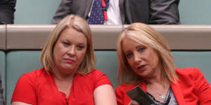 Former members Natasha Griggs and Karen McNamara during question time at Parliament House in November 2016.