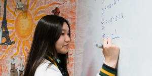 Maths revamp could pave way for student excellence