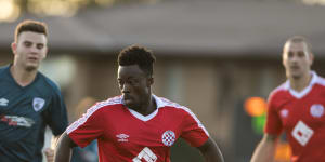 Kofi Danning keeps Canberra FC unbeaten as Riverina Rhinos see red