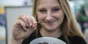 Skye Blackburn,founder of the Edible Bug Shop,samples roast insects. 
