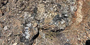 Pinto gneiss outcrop featuring 7.1% TREO at its Southern target at the Music Valley rare earths project in California