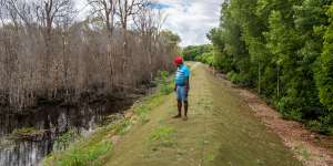 Pabai studies trees killed by seawater inundation.