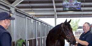 Secret vets,private security and a US tycoon on the end of the phone:Inside filly’s $10m sale