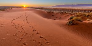 Sunset on the Kalahari.