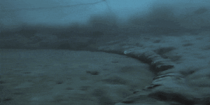 Bottom trawling footage from David Attenborough documentary Ocean.