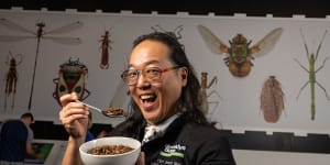 Avocado and ants on toast? Chef says buzz is building around edible insects
